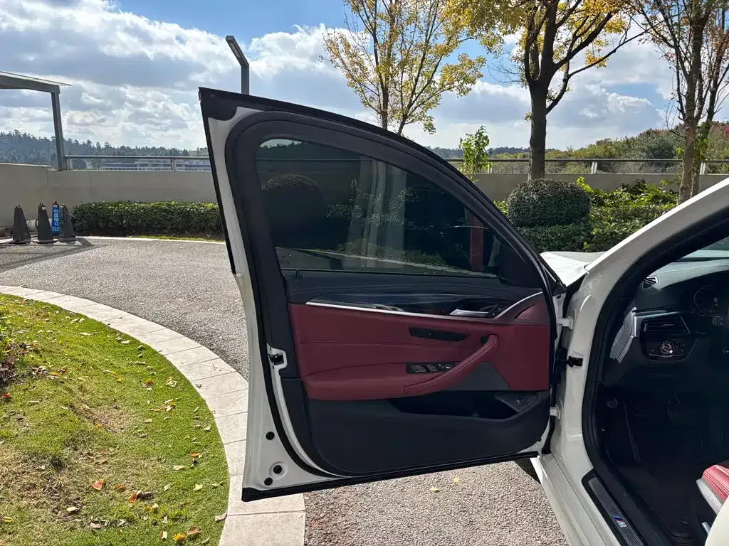 BMW 5 Series 2021 из CN, фото 10