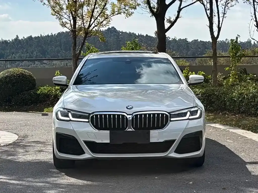BMW 5 Series 2021 из CN, фото 2