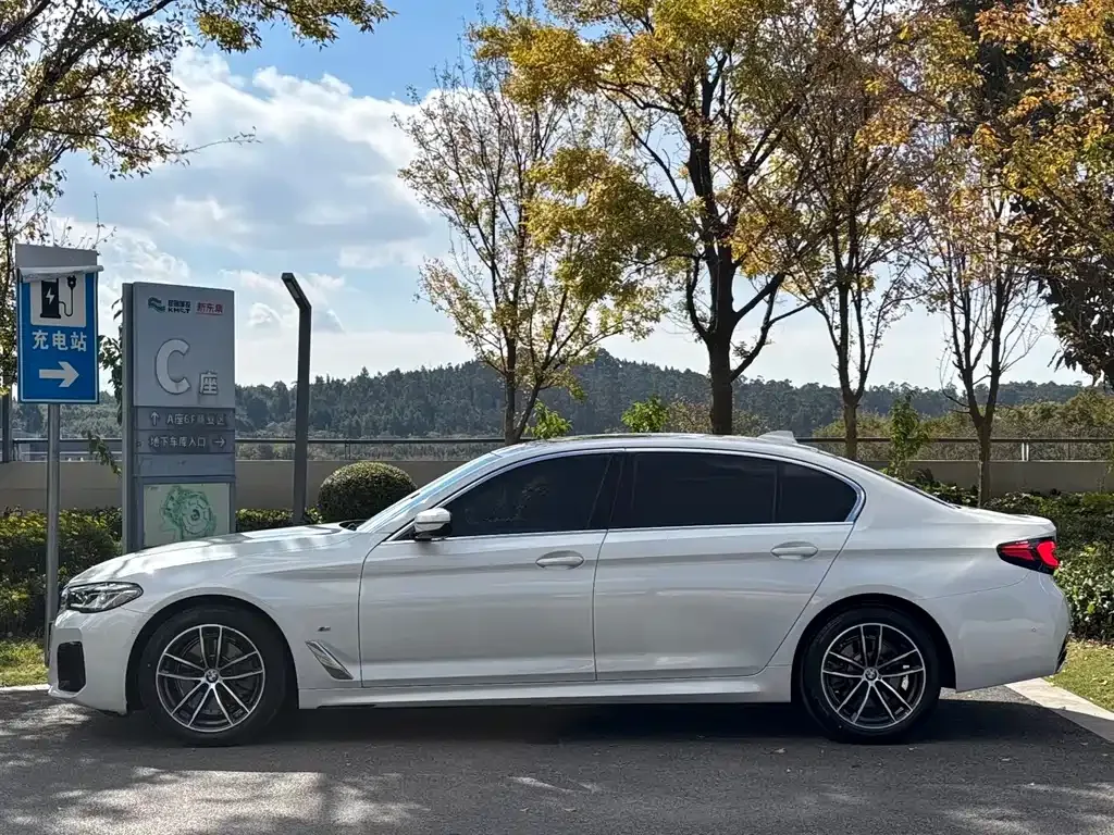 BMW 5 Series 2021 из CN, фото 3