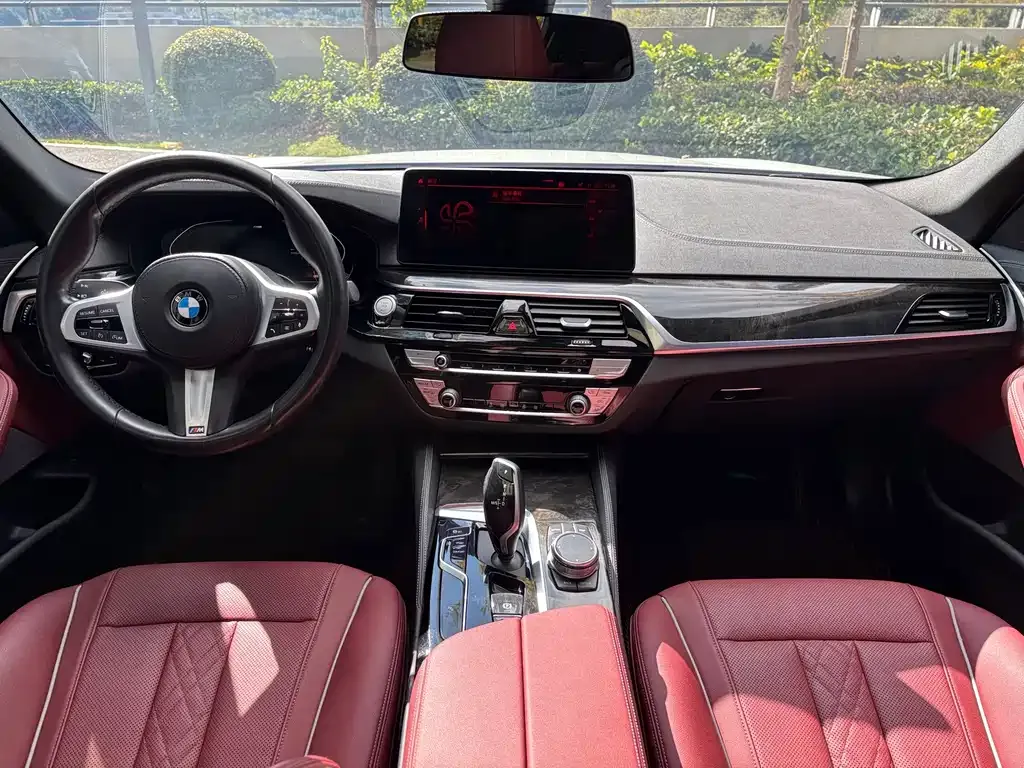 BMW 5 Series 2021 из CN, фото 5