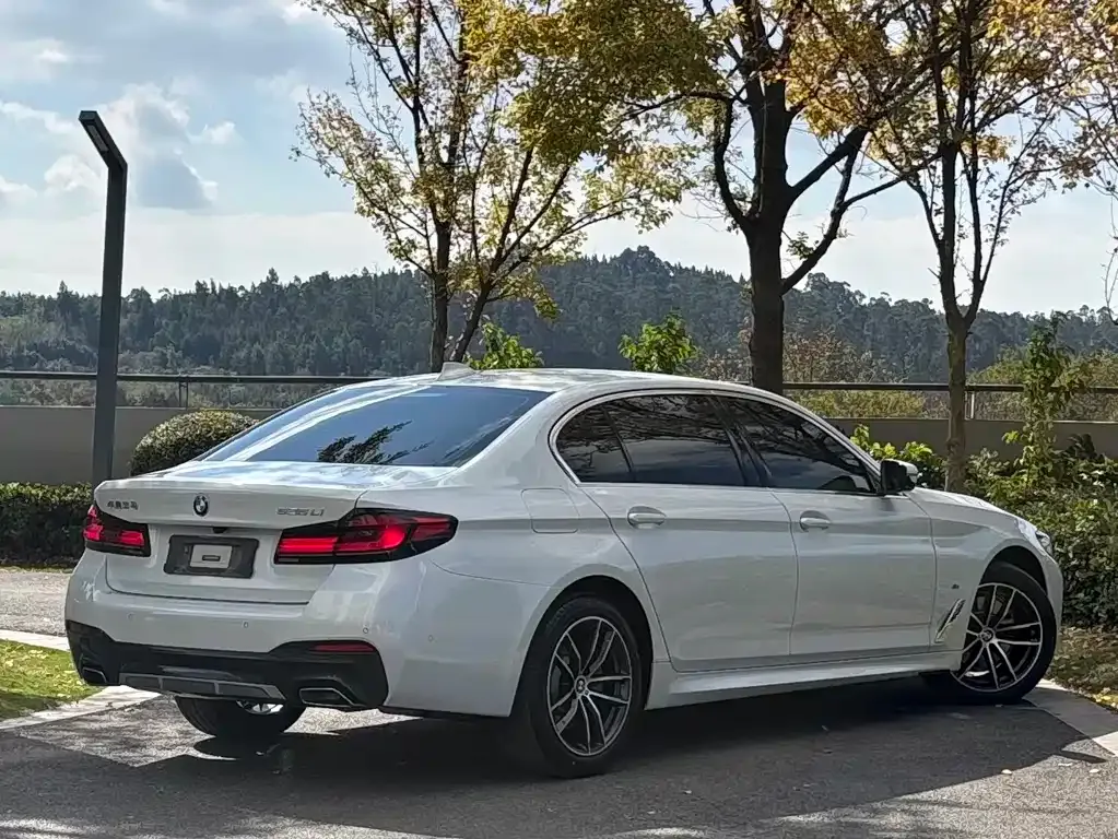 BMW 5 Series 2021 из CN, фото 9