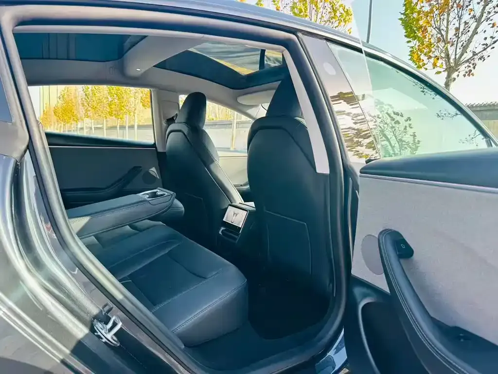 Tesla Model 3 2025 из CN, фото 4