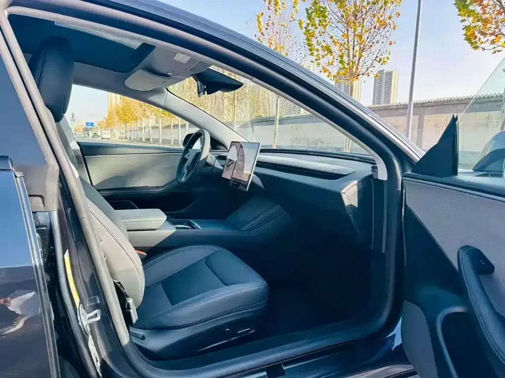 Tesla Model 3 2025 из CN, фото 6