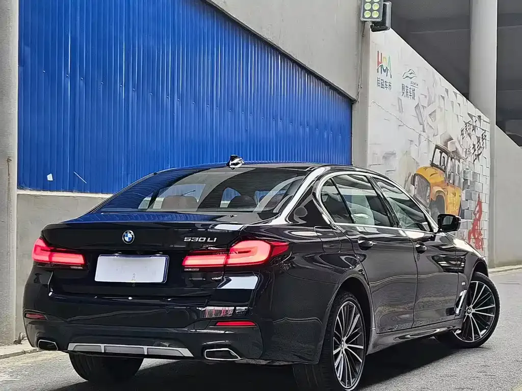 BMW 5 Series 2024 из CN, фото 3