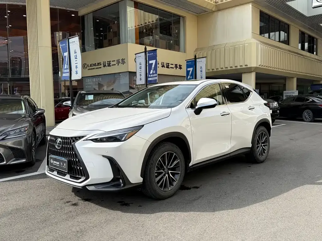 Lexus NX 2023 из CN, фото 1