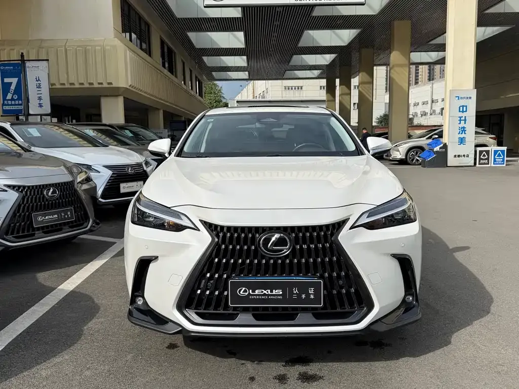 Lexus NX 2023 из CN, фото 2