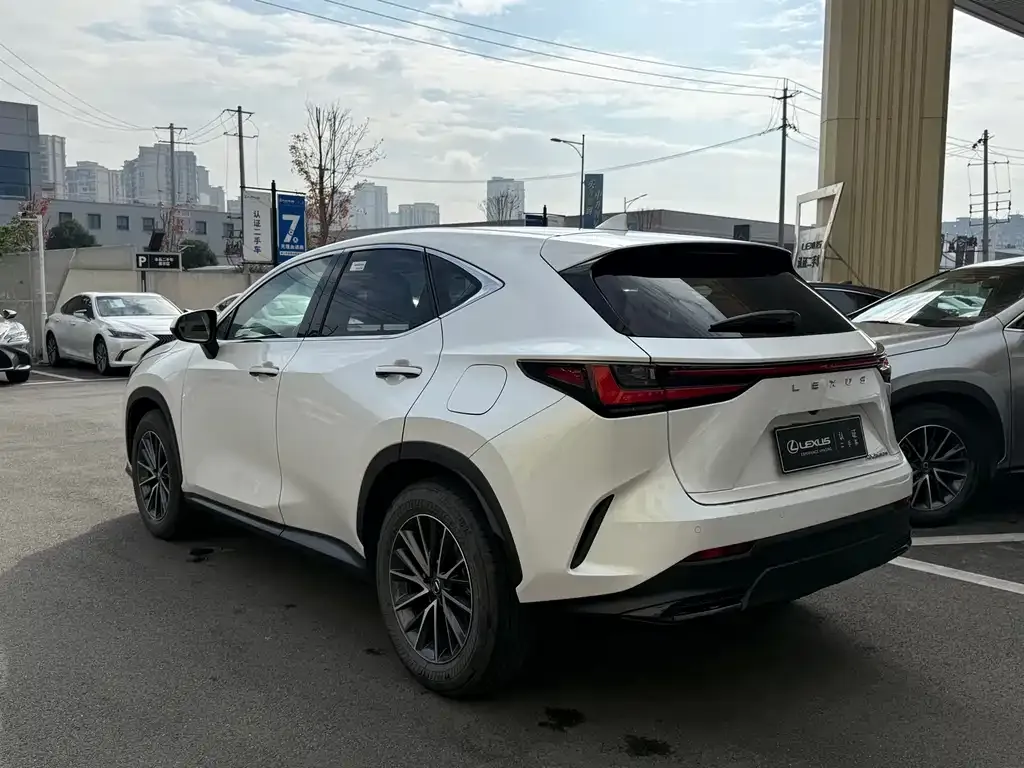 Lexus NX 2023 из CN, фото 8