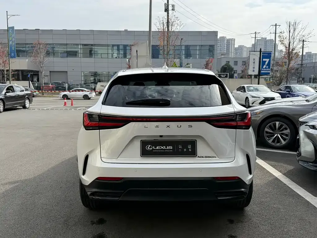 Lexus NX 2023 из CN, фото 9