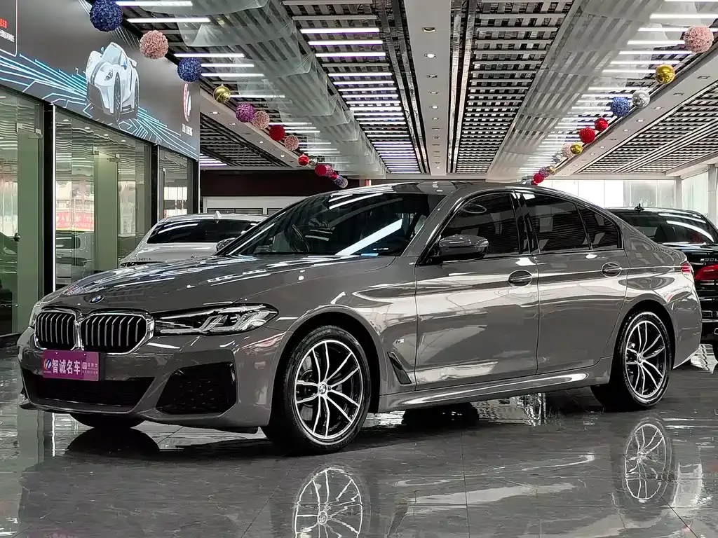 BMW 5 Series (Import) 2023 из CN, фото 1
