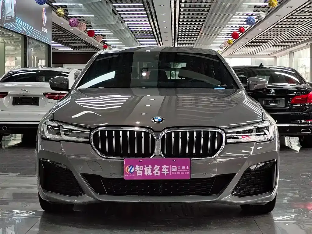 BMW 5 Series (Import) 2023 из CN, фото 2