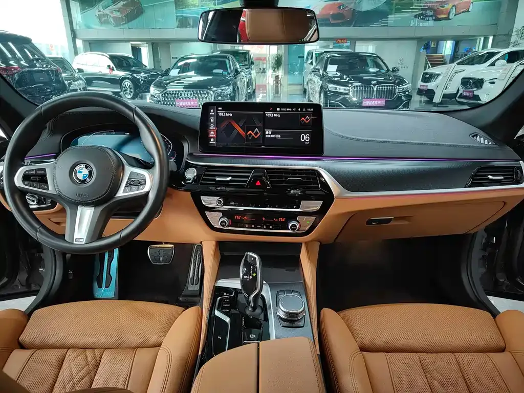BMW 5 Series (Import) 2023 из CN, фото 6