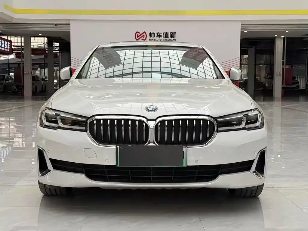 BMW 5 Series New Energy 2021 из CN, фото 2