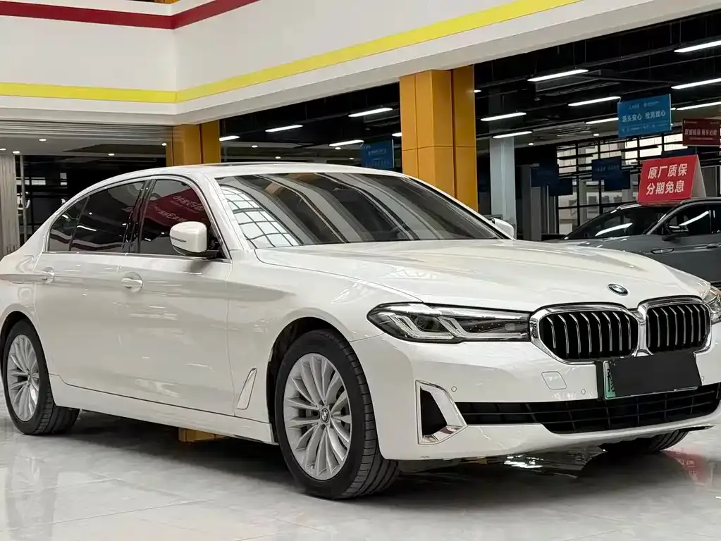 BMW 5 Series New Energy 2021 из CN, фото 3