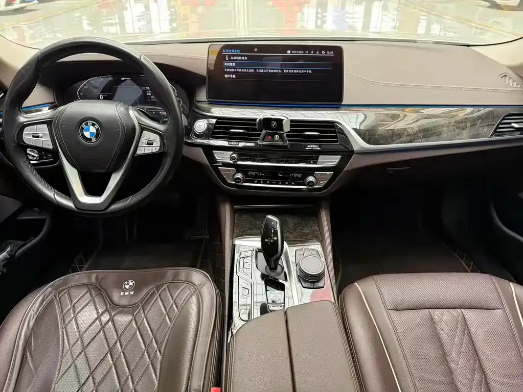 BMW 5 Series New Energy 2021 из CN, фото 5