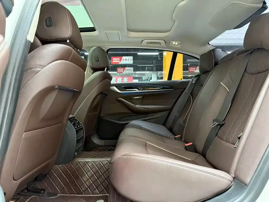 BMW 5 Series New Energy 2021 из CN, фото 6