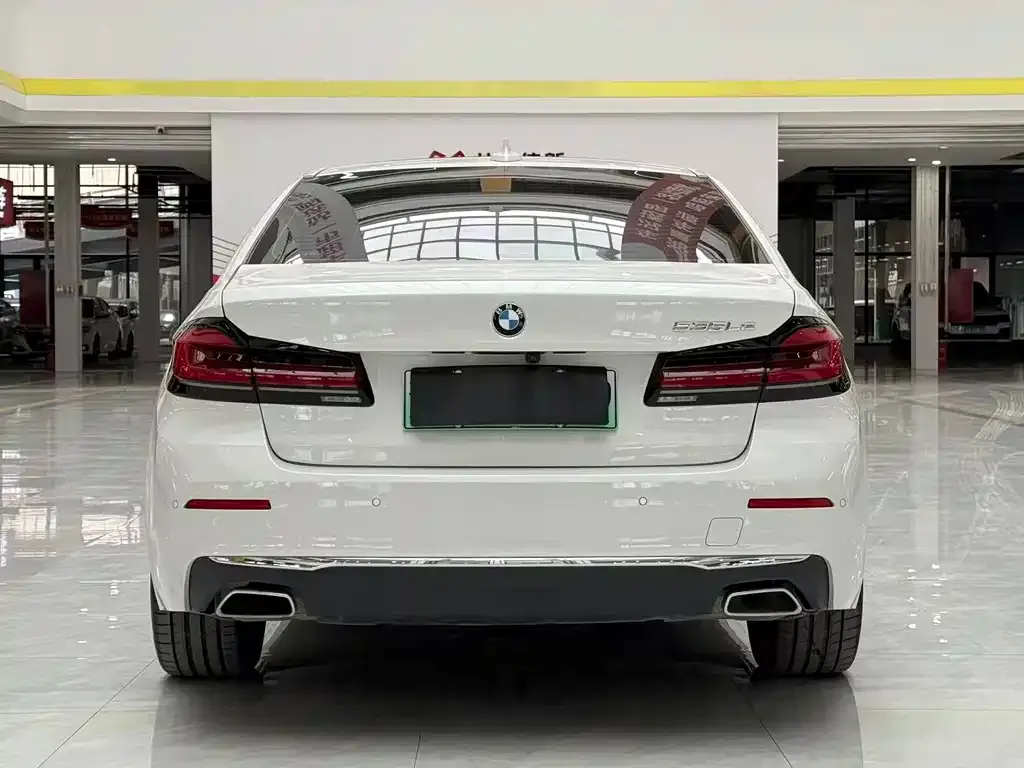 BMW 5 Series New Energy 2021 из CN, фото 8