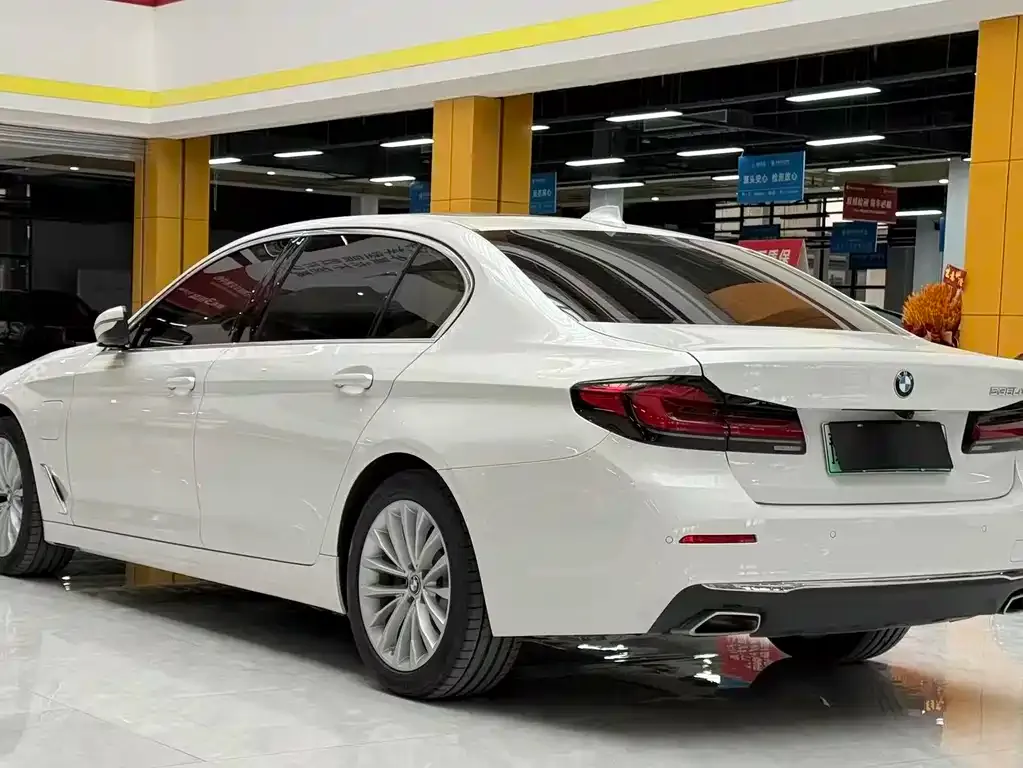 BMW 5 Series New Energy 2021 из CN, фото 9