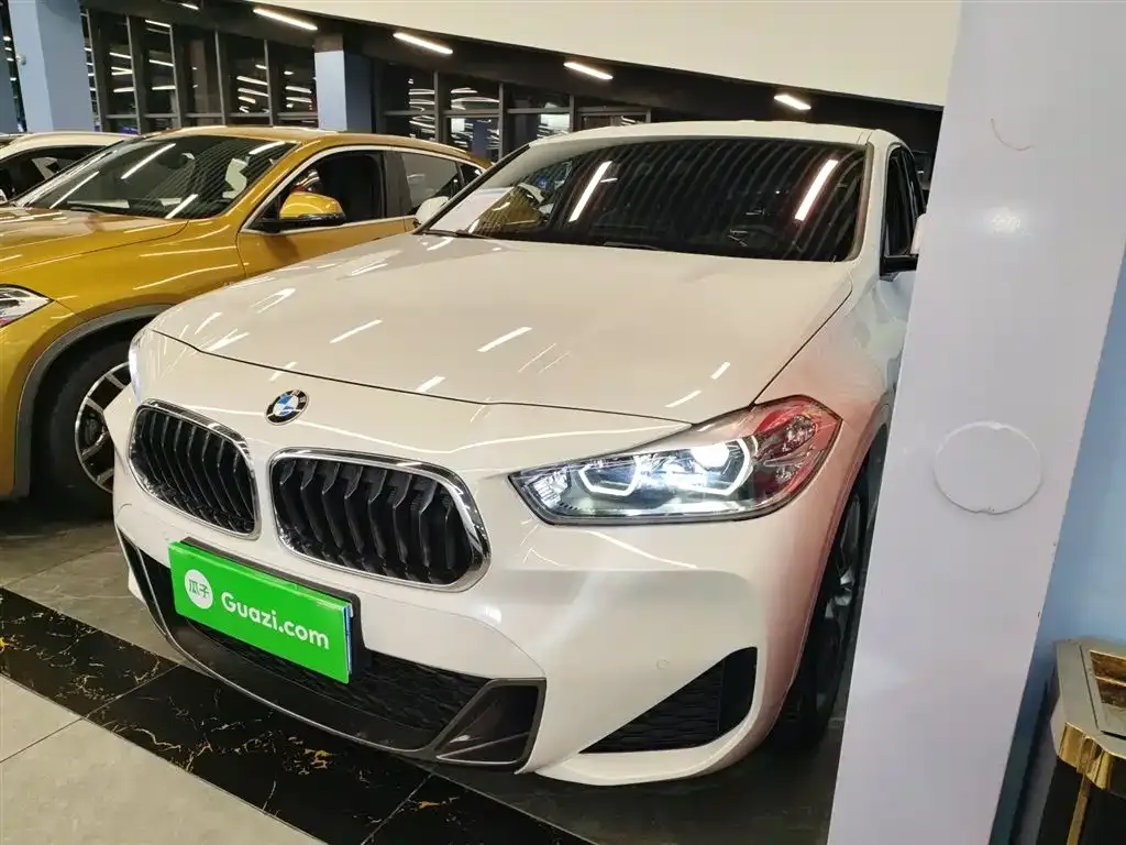 BMW X2 2021 из CN, фото 1