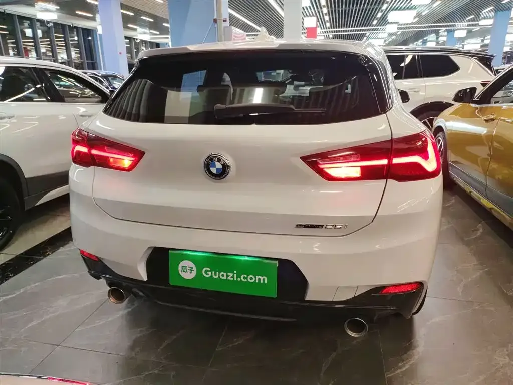 BMW X2 2021 из CN, фото 6