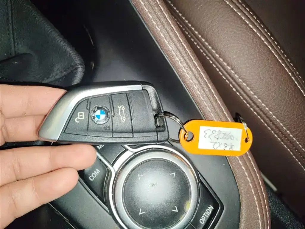 BMW X2 2021 из CN, фото 9