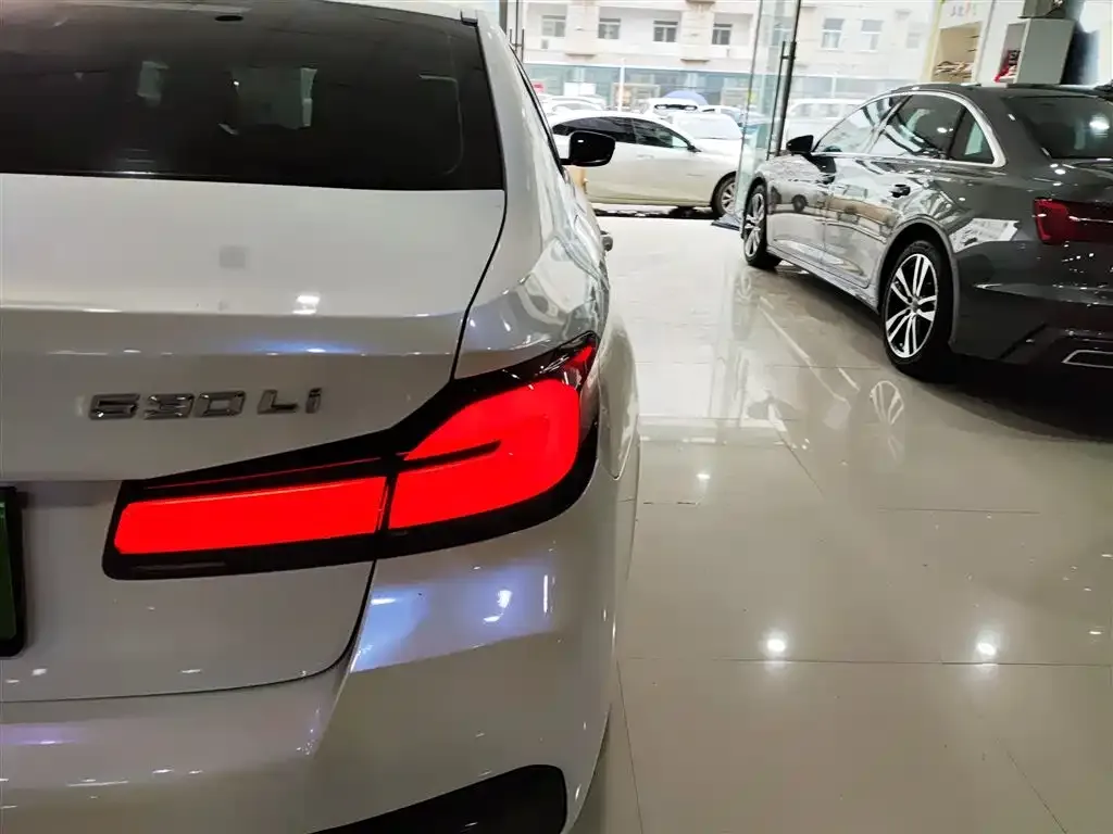 BMW 5 Series 2021 из CN, фото 10