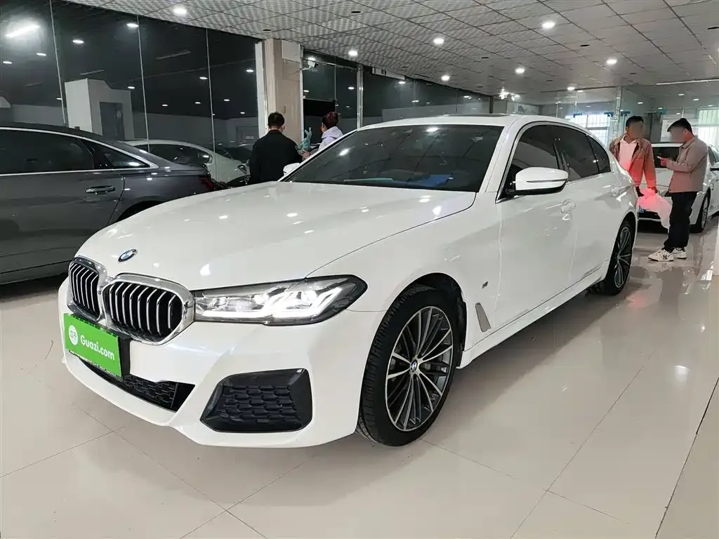 BMW 5 Series 2021 из CN, фото 2