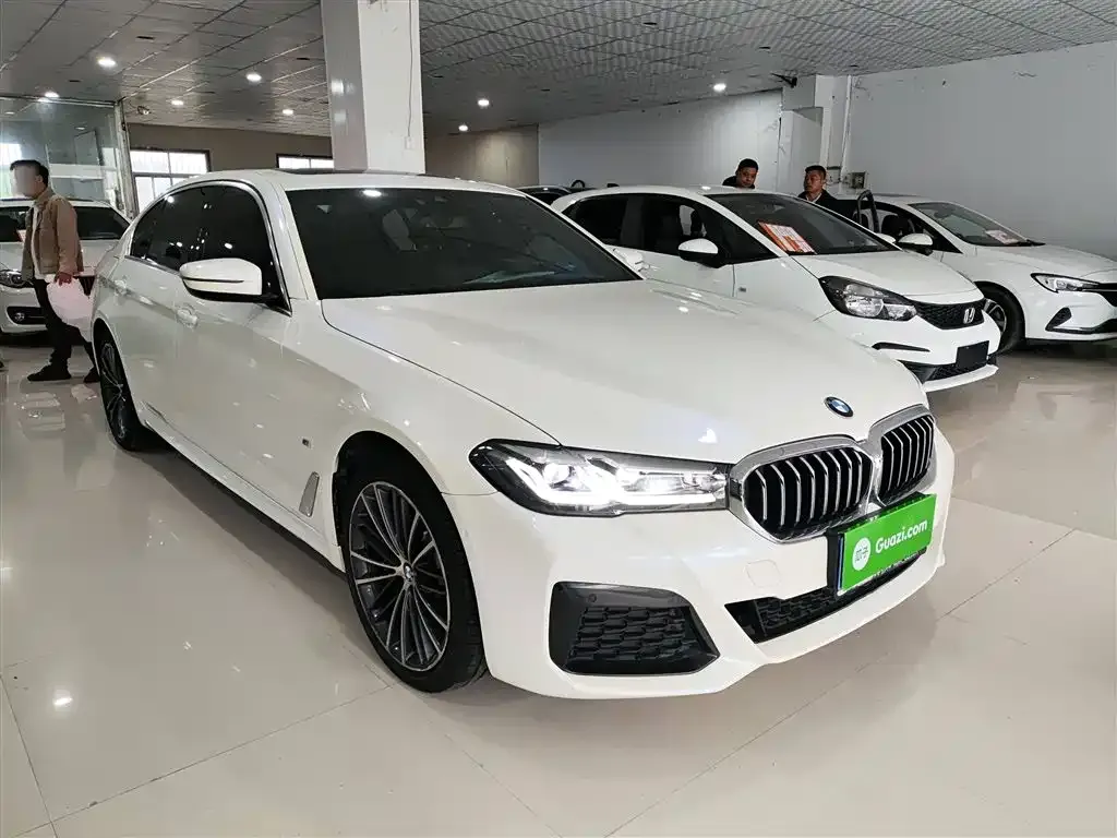 BMW 5 Series 2021 из CN, фото 4