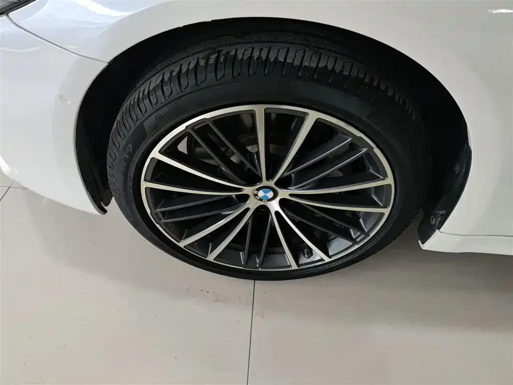 BMW 5 Series 2021 из CN, фото 5