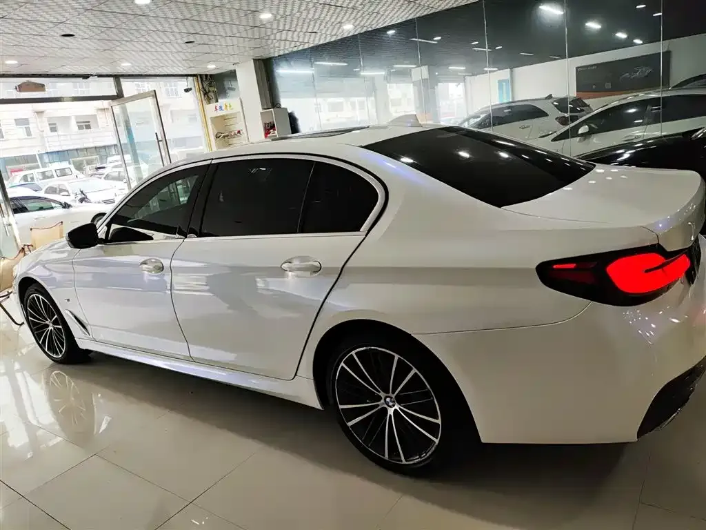 BMW 5 Series 2021 из CN, фото 6