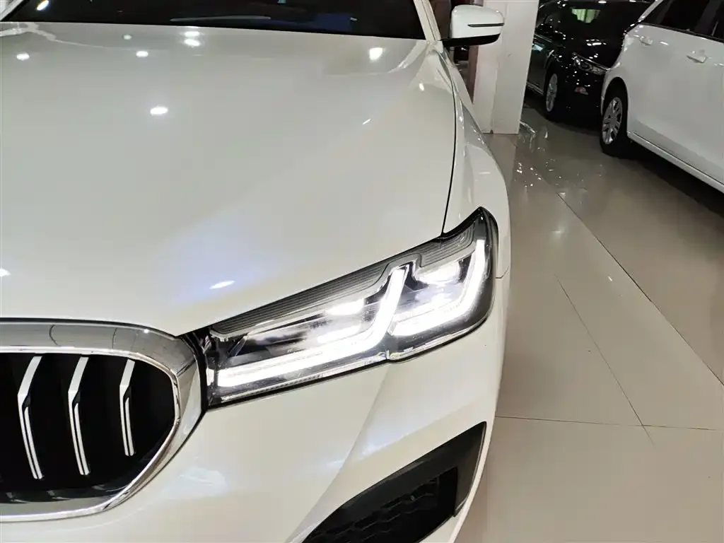 BMW 5 Series 2021 из CN, фото 7