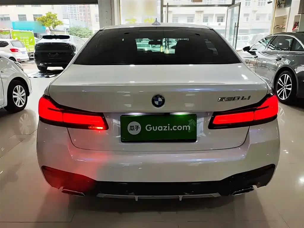 BMW 5 Series 2021 из CN, фото 8