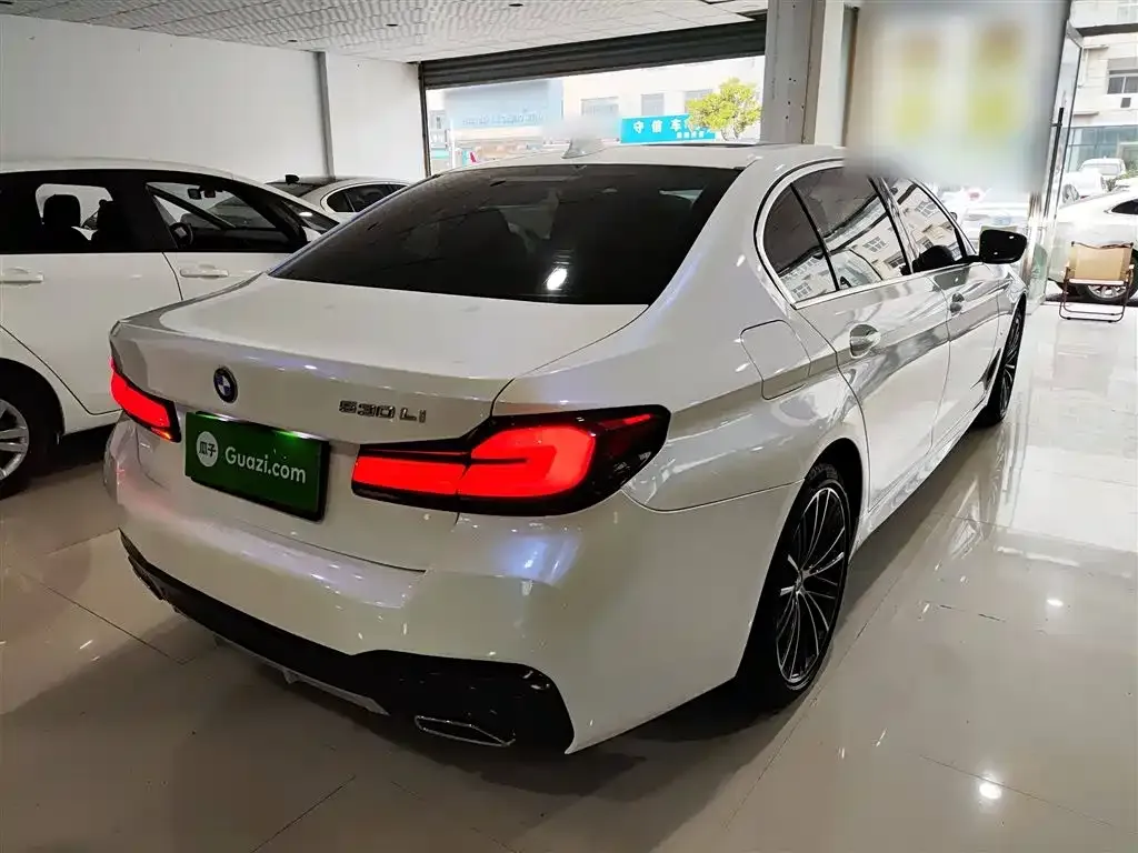 BMW 5 Series 2021 из CN, фото 9