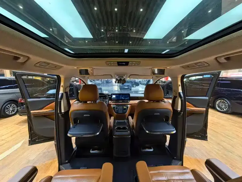 Hongqi HQ9 2023 из CN, фото 10