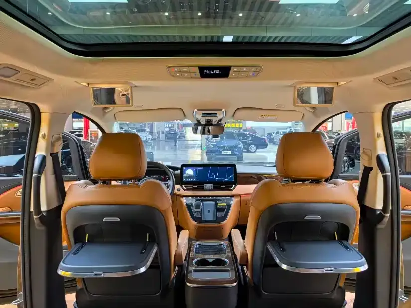 Hongqi HQ9 2023 из CN, фото 9