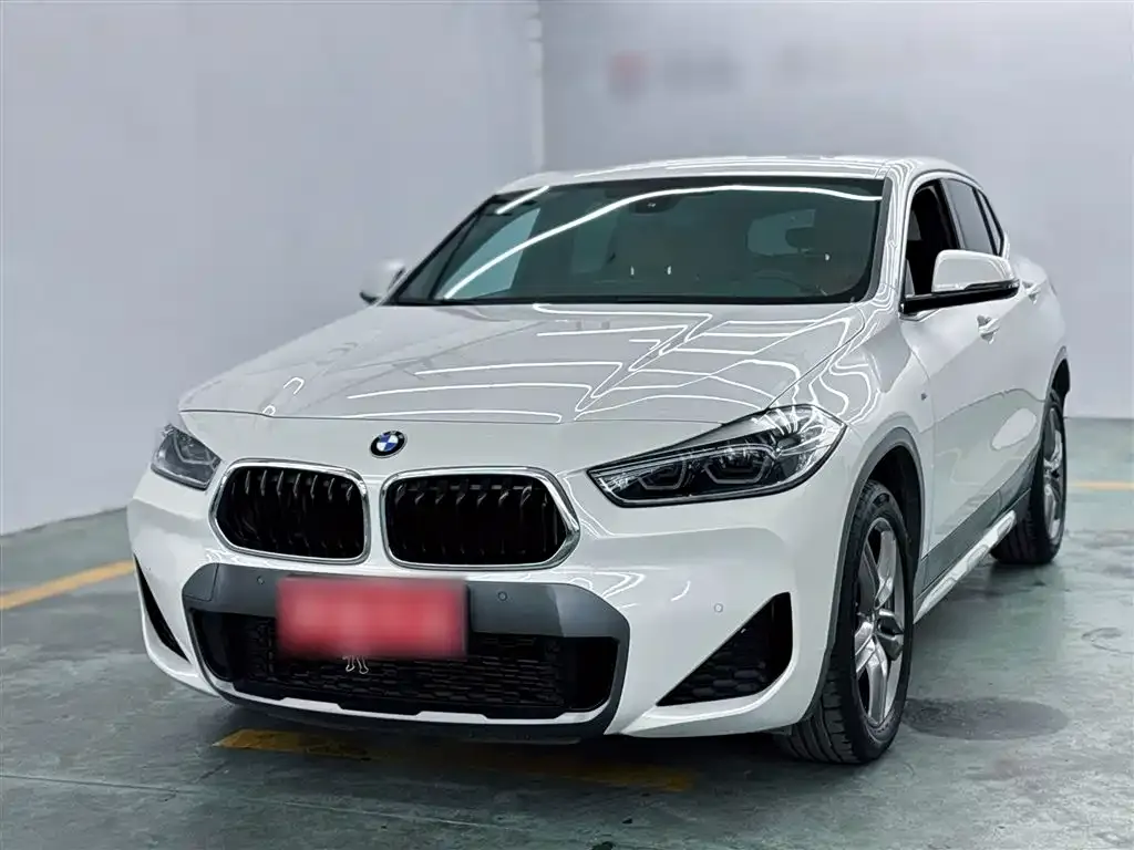 BMW X2 — фото 1