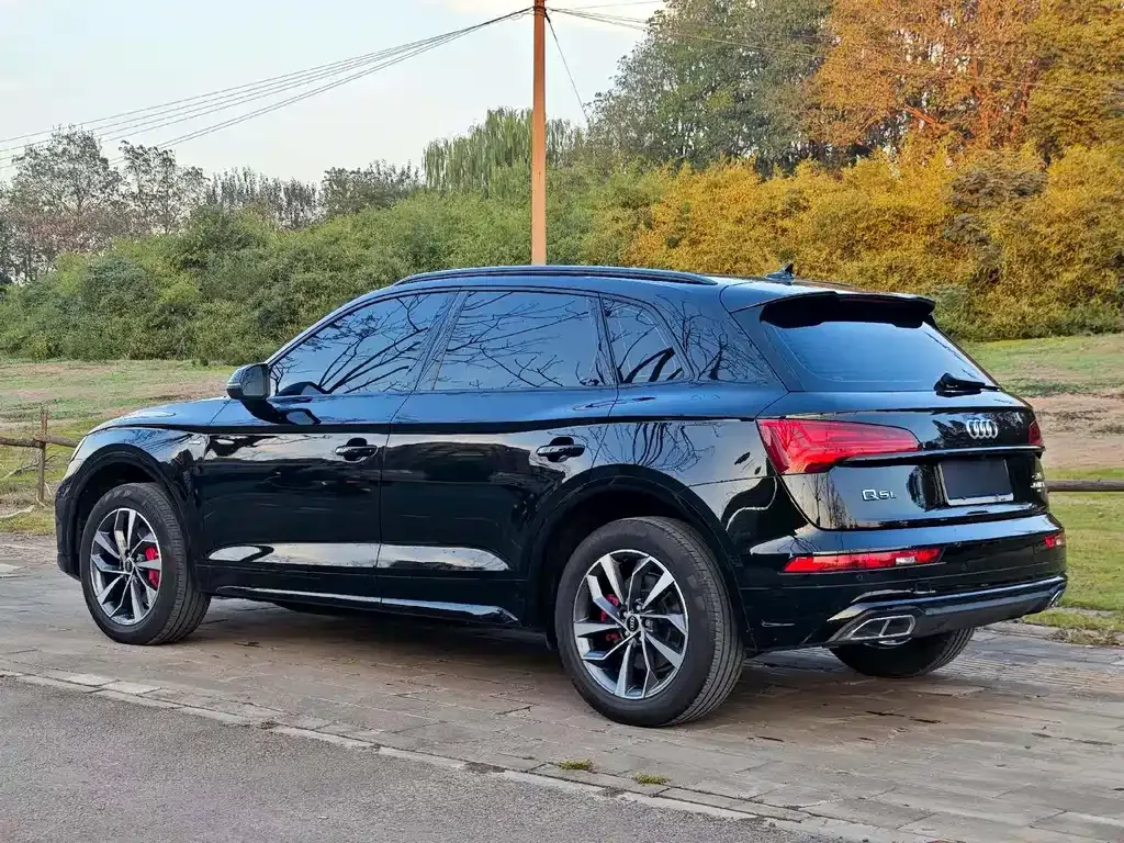 Audi Q5L 2024 из CN, фото 4