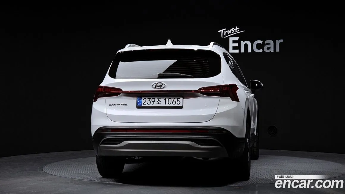 Hyundai Santafe 2021 из KR, фото 4