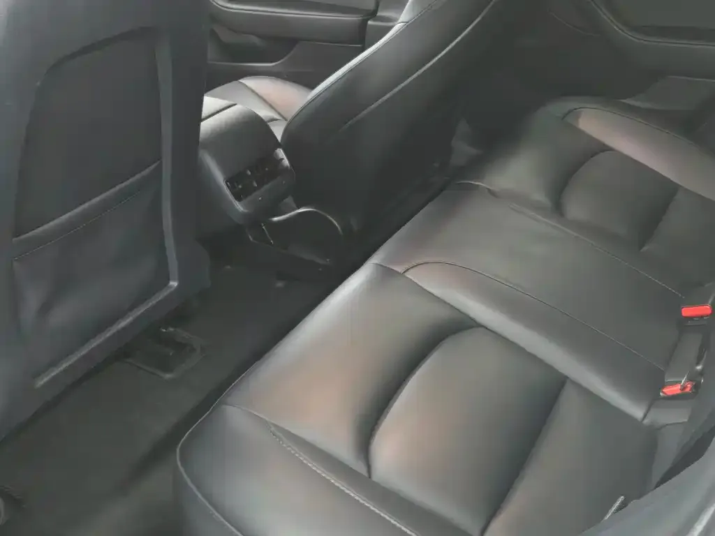 Tesla Model 3 2022 из CN, фото 6