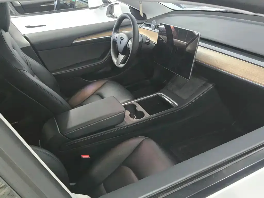 Tesla Model 3 2022 из CN, фото 9