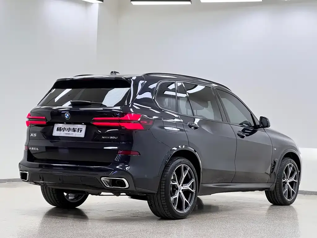 BMW X5 2025 из CN, фото 7