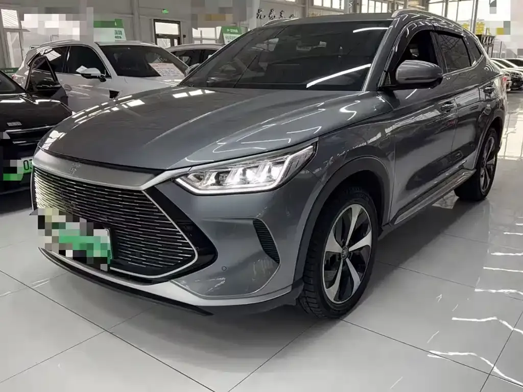 BYD PLUS New Energy 2023 из CN, фото 1