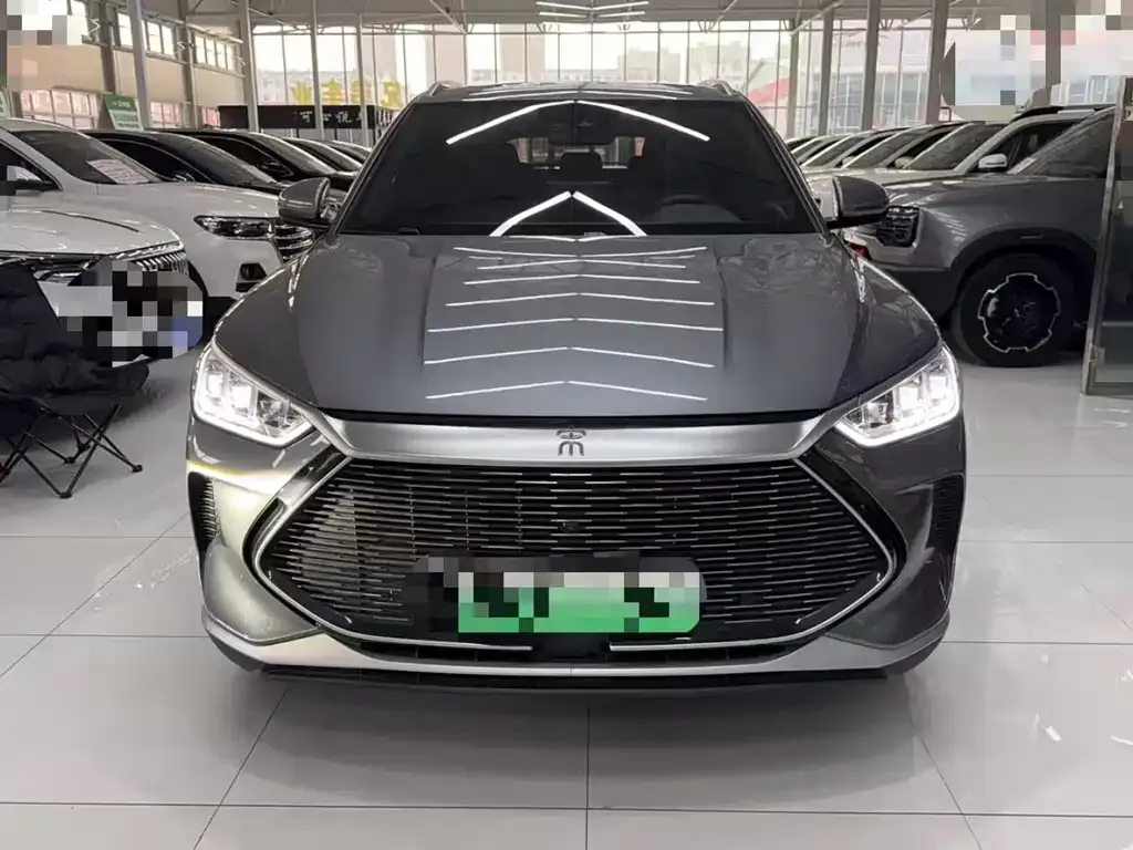 BYD PLUS New Energy 2023 из CN, фото 2