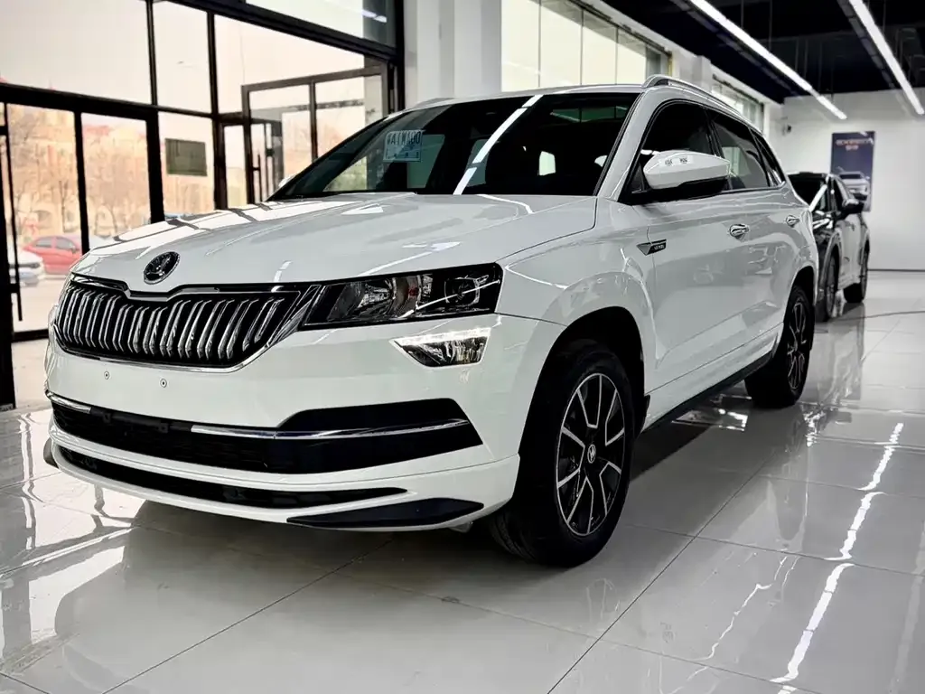 Skoda Karoq 2023 из CN, фото 1