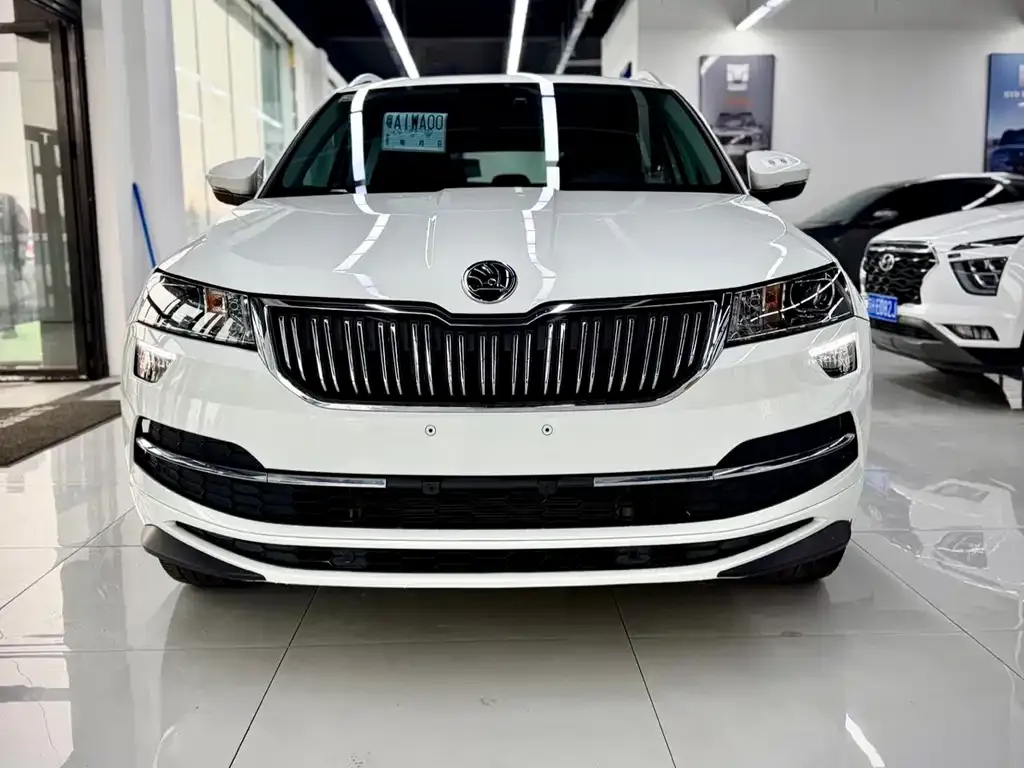 Skoda Karoq 2023 из CN, фото 2