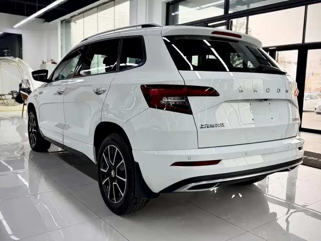 Skoda Karoq 2023 из CN, фото 4