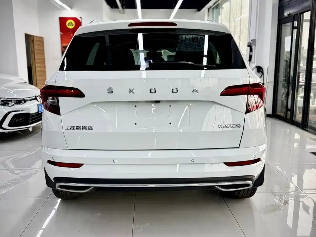 Skoda Karoq 2023 из CN, фото 5