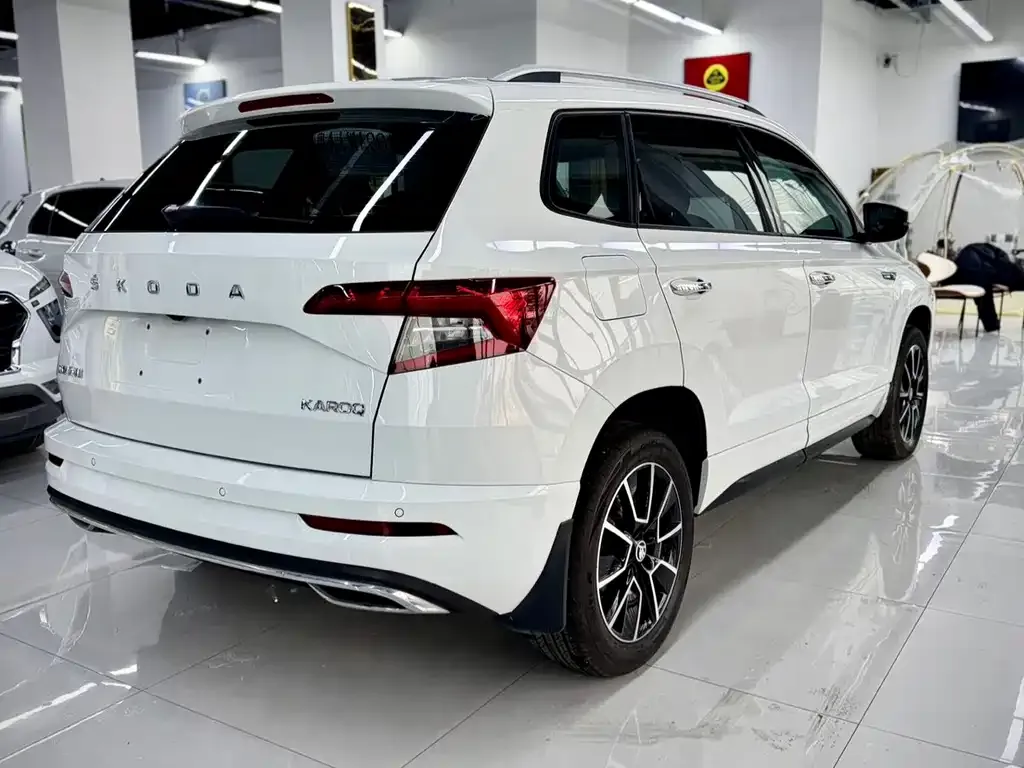Skoda Karoq 2023 из CN, фото 6