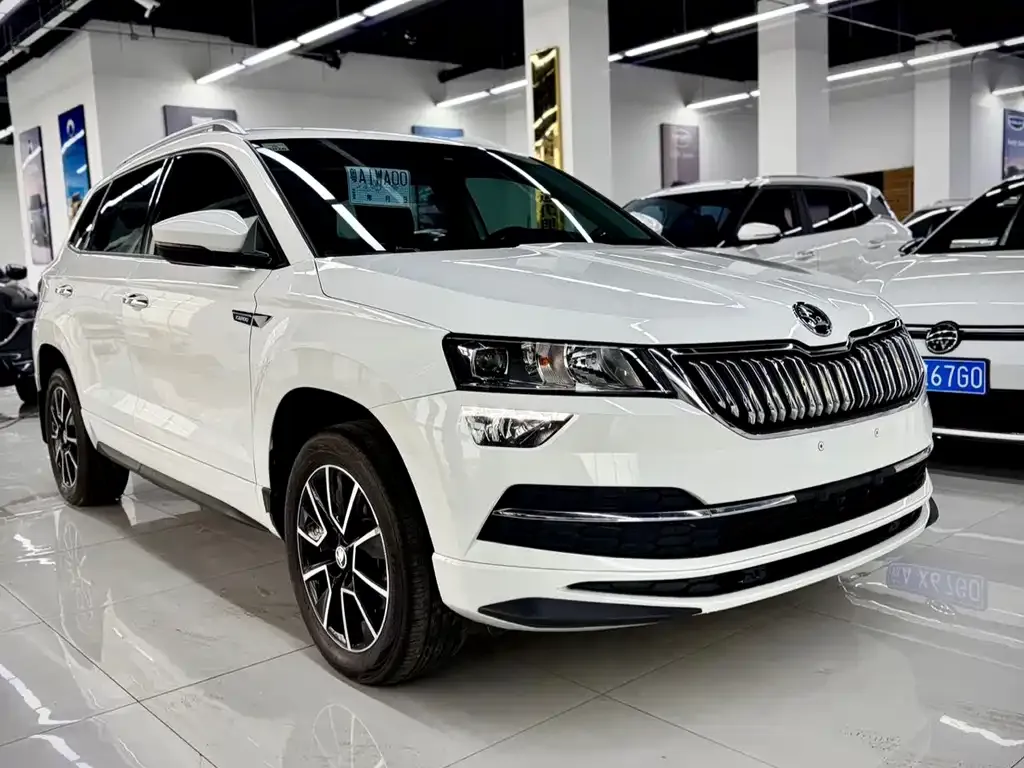 Skoda Karoq 2023 из CN, фото 8