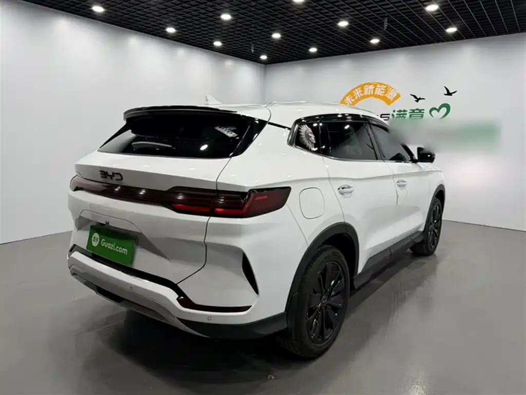 BYD PLUS New Energy 2024 из CN, фото 10
