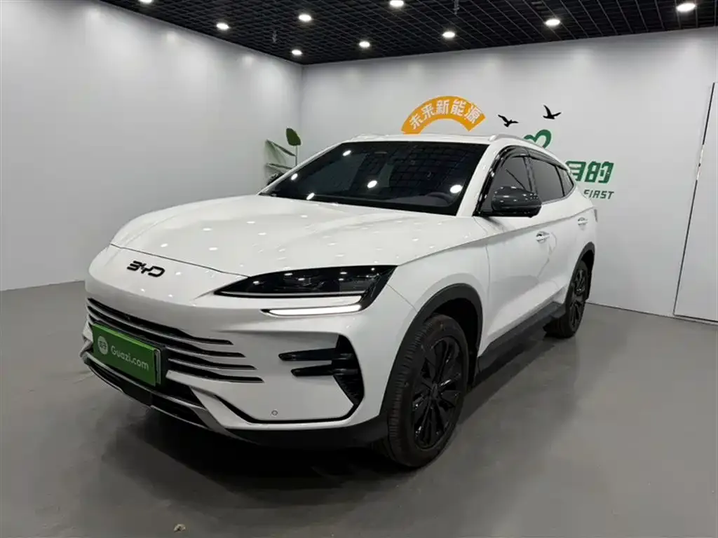 BYD PLUS New Energy 2024 из CN, фото 2
